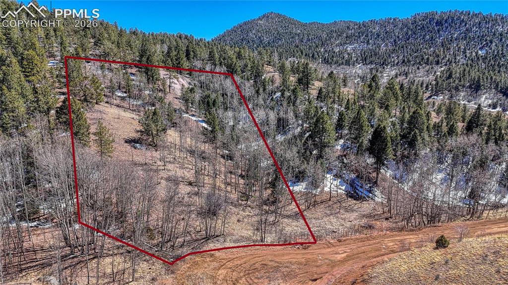513 Last Dollar Drive Cripple Creek CO 80813