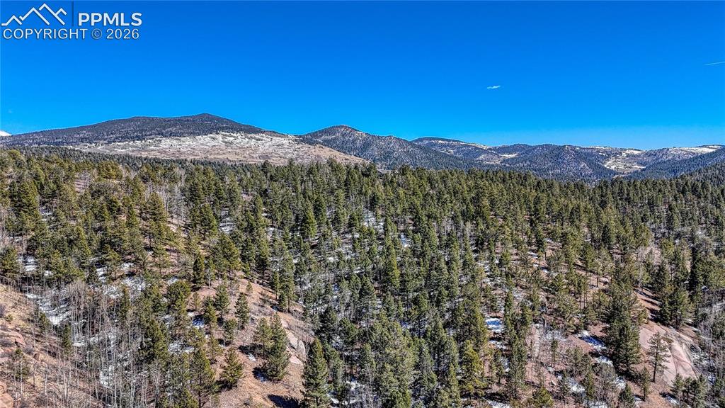 513 Last Dollar Drive Cripple Creek CO 80813