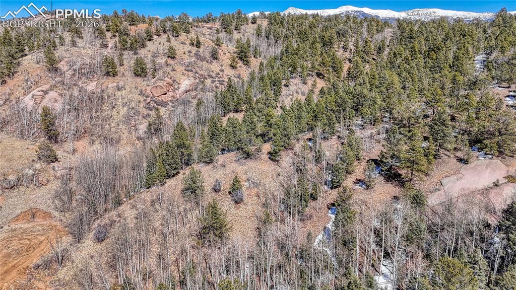513 Last Dollar Drive Cripple Creek CO 80813