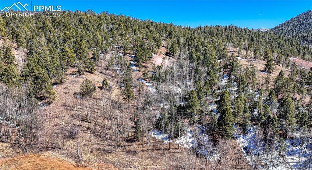 513 Last Dollar Drive Cripple Creek CO 80813