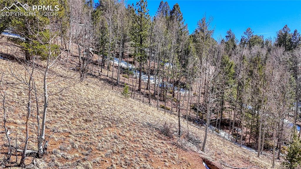 513 Last Dollar Drive Cripple Creek CO 80813