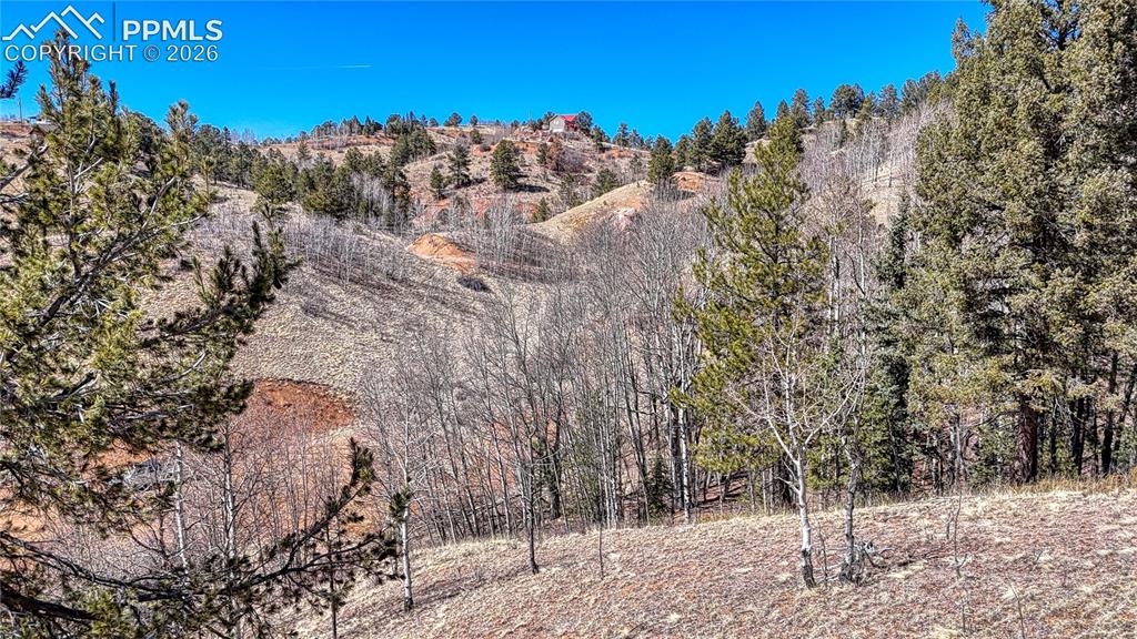 513 Last Dollar Drive Cripple Creek CO 80813