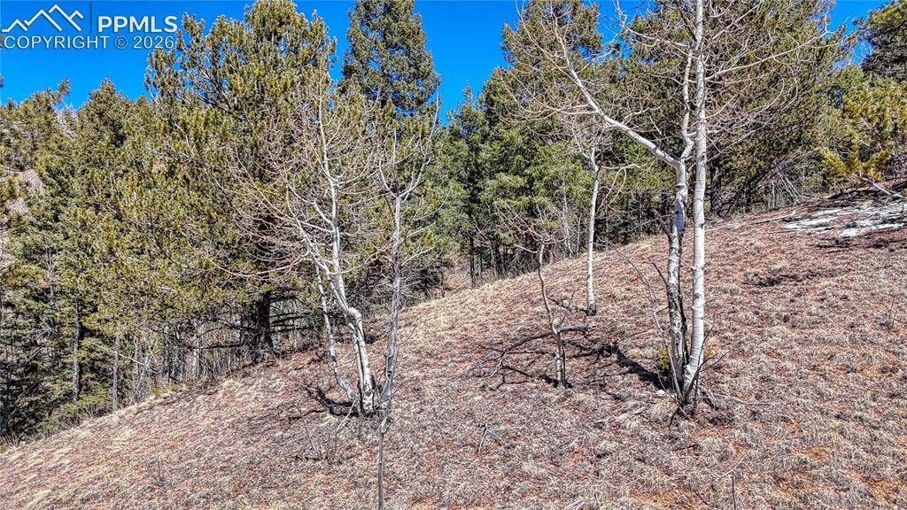 513 Last Dollar Drive Cripple Creek CO 80813