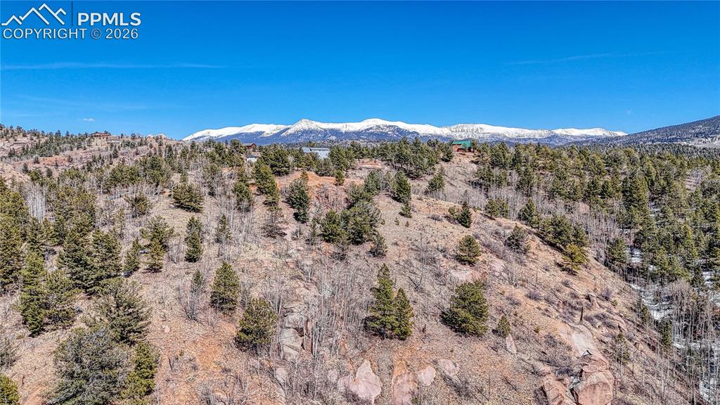 513 Last Dollar Drive Cripple Creek CO 80813