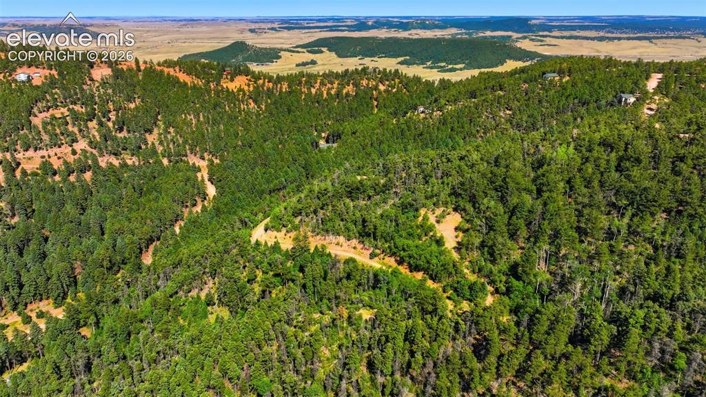 13488 S Firedog Way Larkspur CO 80118