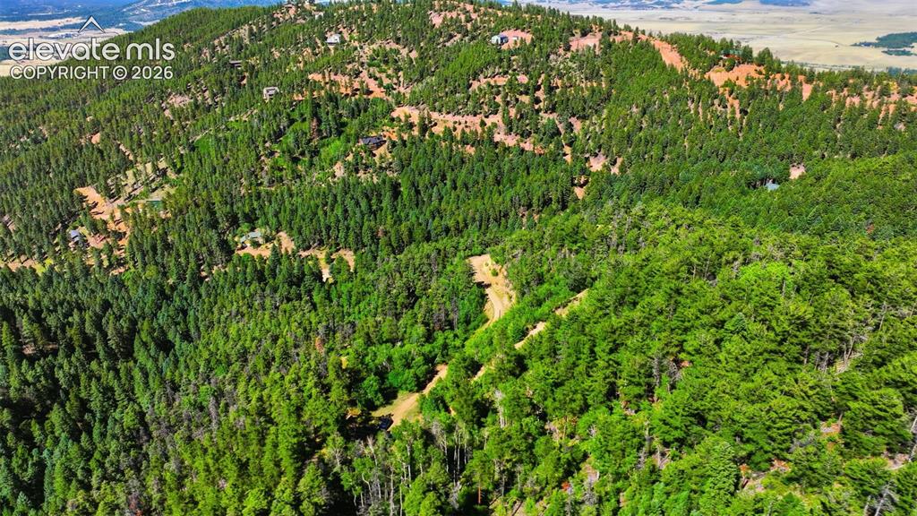13488 S Firedog Way Larkspur CO 80118