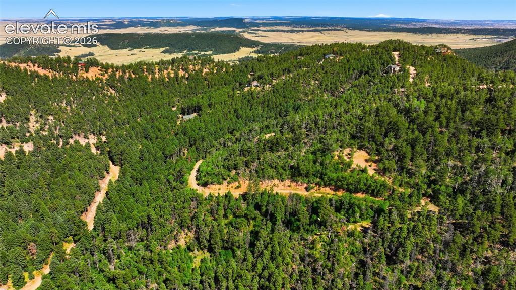 13488 S Firedog Way Larkspur CO 80118