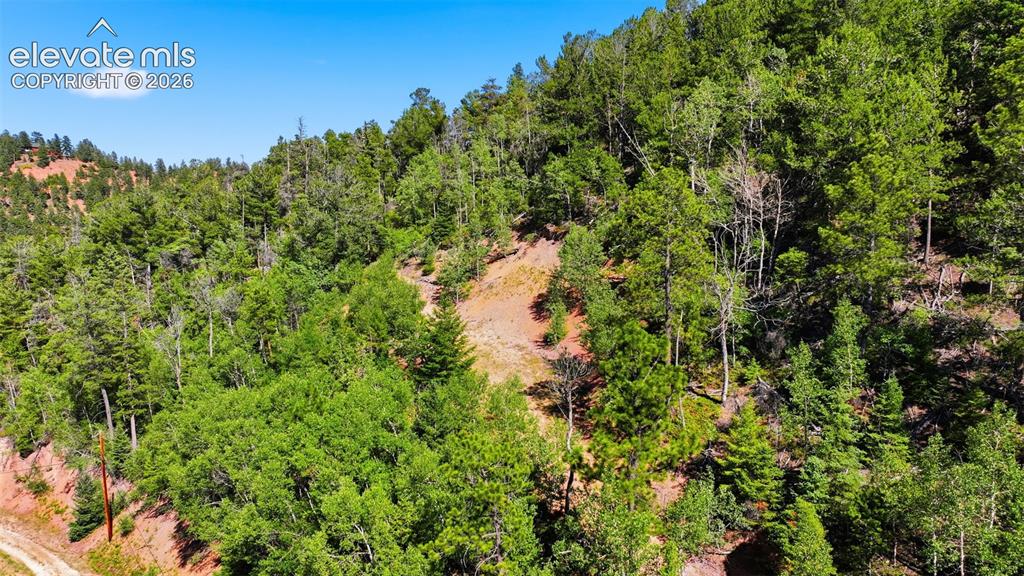 13488 S Firedog Way Larkspur CO 80118
