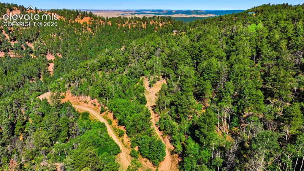 13488 S Firedog Way Larkspur CO 80118