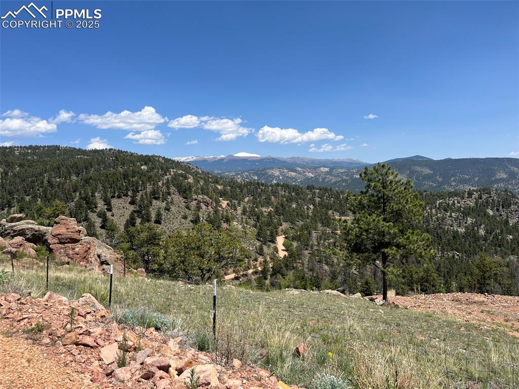 160 Chateau West Drive Florissant CO 80816