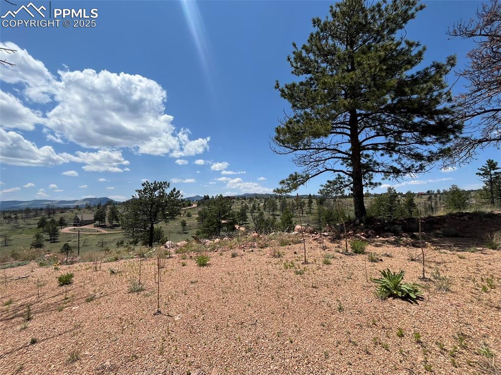 160 Chateau West Drive Florissant CO 80816