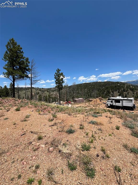 160 Chateau West Drive Florissant CO 80816