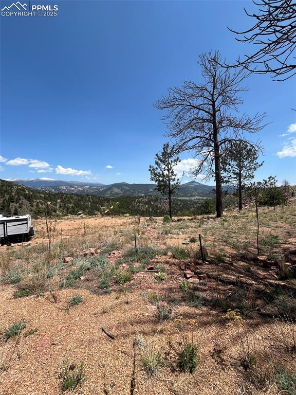 160 Chateau West Drive Florissant CO 80816