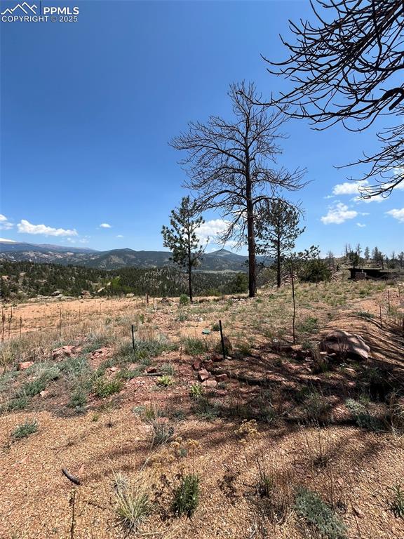 160 Chateau West Drive Florissant CO 80816