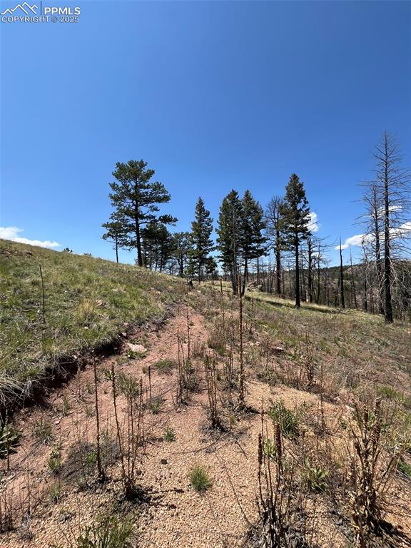 160 Chateau West Drive Florissant CO 80816