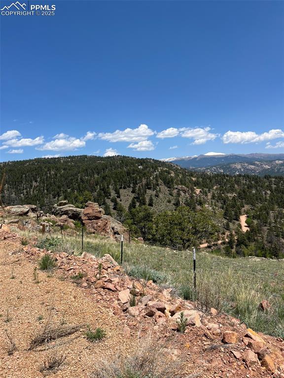 160 Chateau West Drive Florissant CO 80816