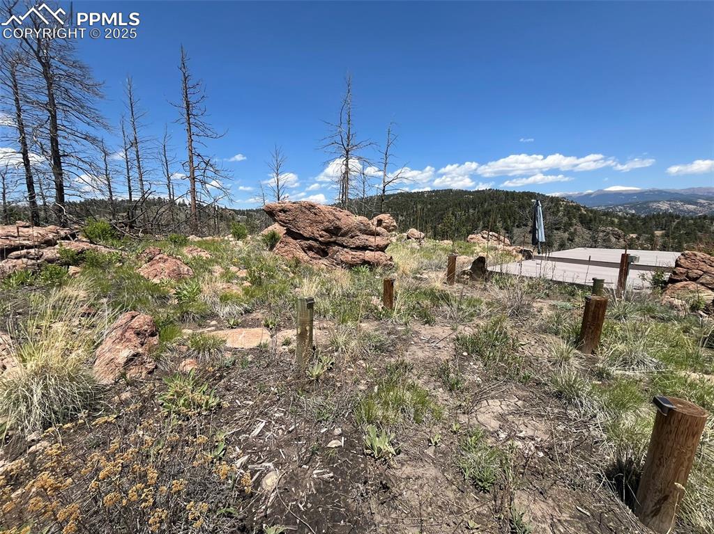 160 Chateau West Drive Florissant CO 80816