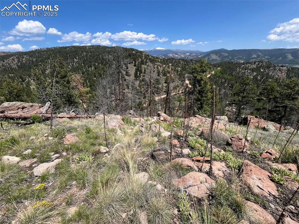 160 Chateau West Drive Florissant CO 80816