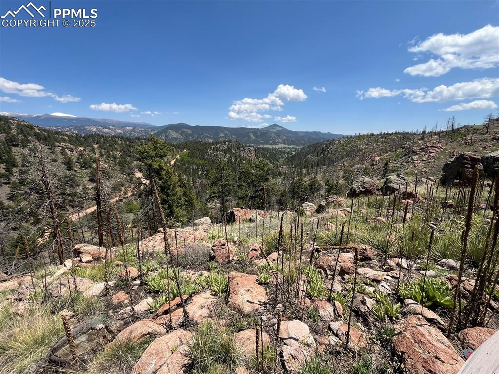 160 Chateau West Drive Florissant CO 80816