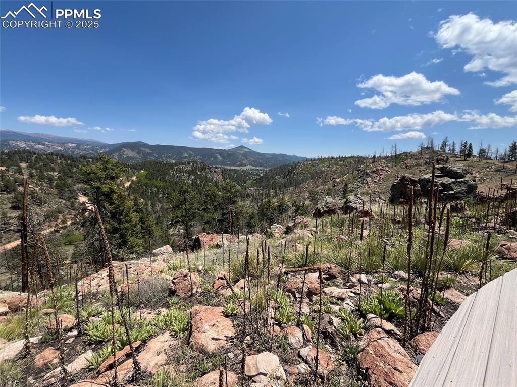160 Chateau West Drive Florissant CO 80816