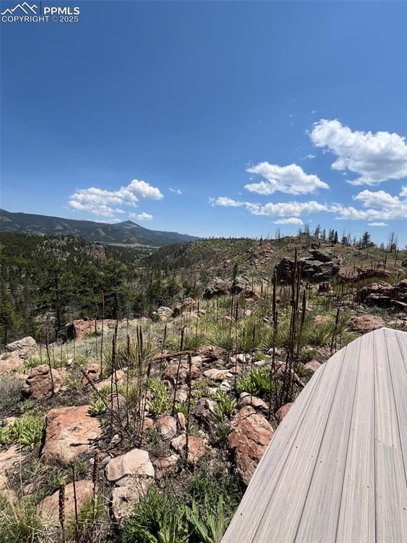 160 Chateau West Drive Florissant CO 80816