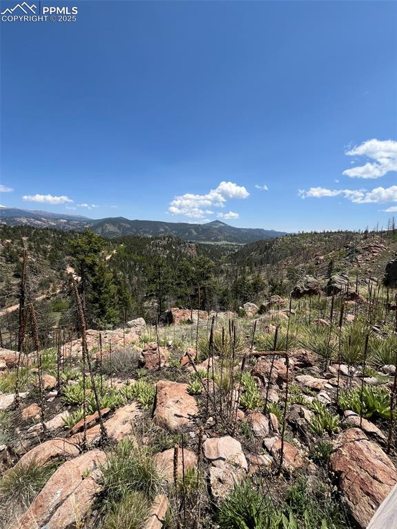 160 Chateau West Drive Florissant CO 80816