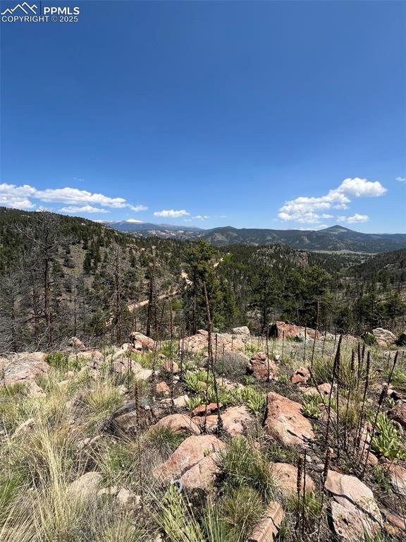 160 Chateau West Drive Florissant CO 80816