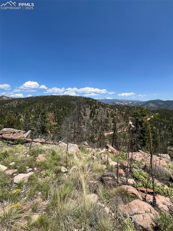 160 Chateau West Drive Florissant CO 80816