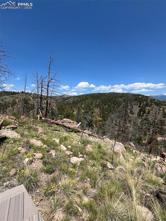 160 Chateau West Drive Florissant CO 80816