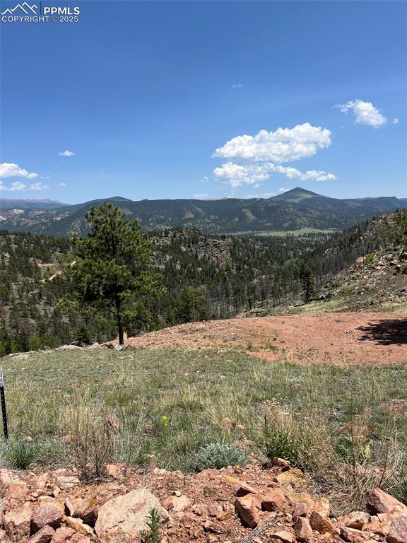 160 Chateau West Drive Florissant CO 80816