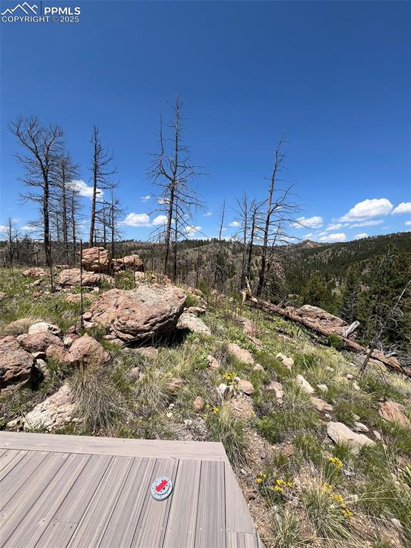 160 Chateau West Drive Florissant CO 80816