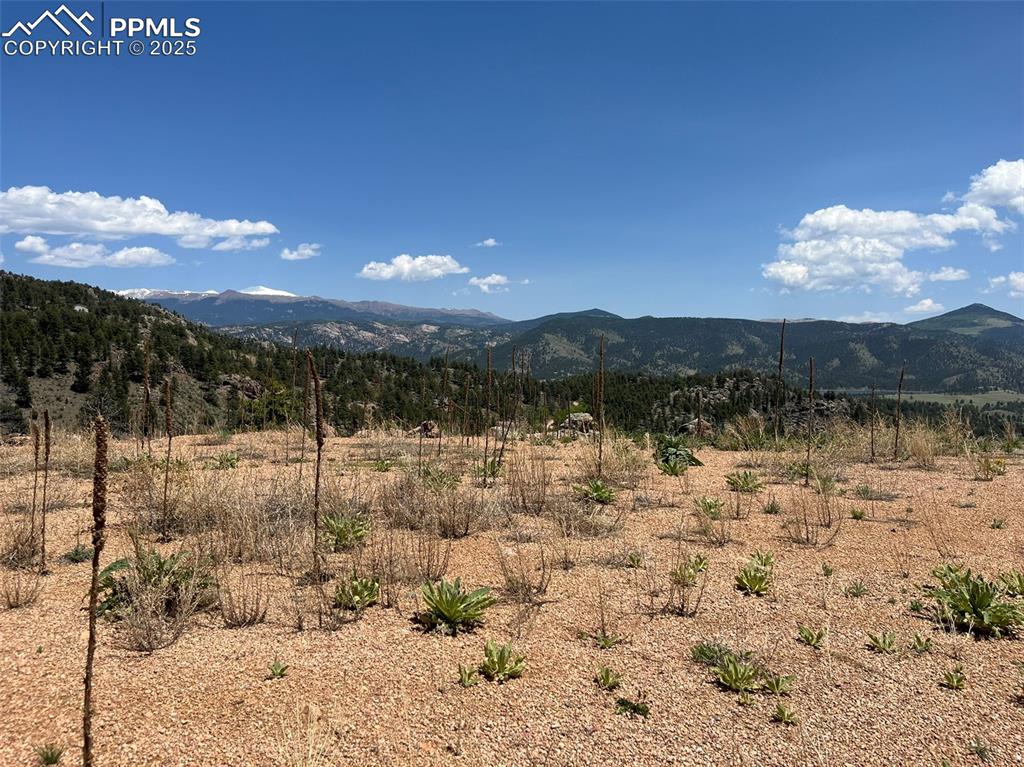 160 Chateau West Drive Florissant CO 80816