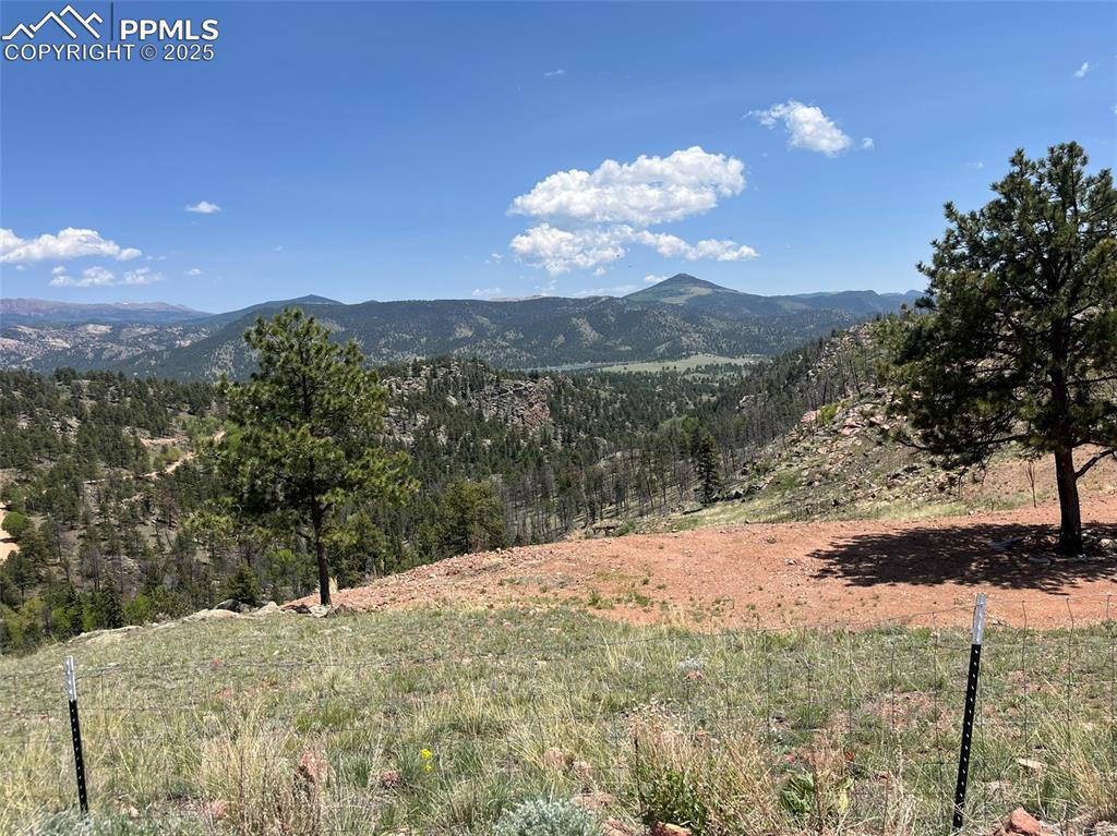 160 Chateau West Drive Florissant CO 80816