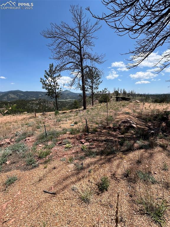 160 Chateau West Drive Florissant CO 80816