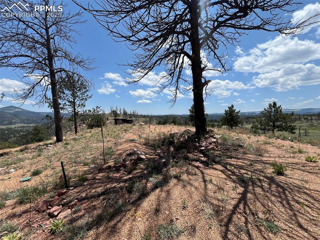 160 Chateau West Drive Florissant CO 80816