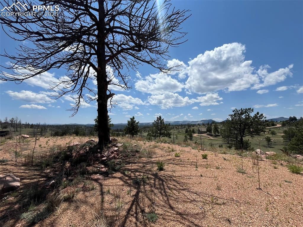 160 Chateau West Drive Florissant CO 80816
