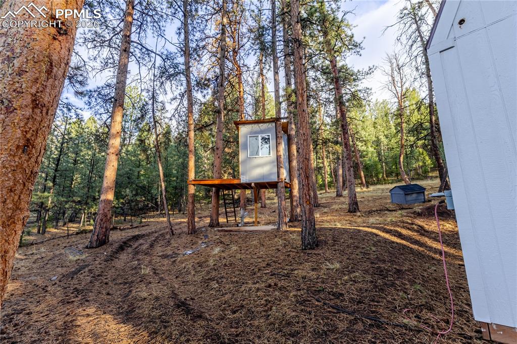 842 County Road 112 Florissant CO 80816