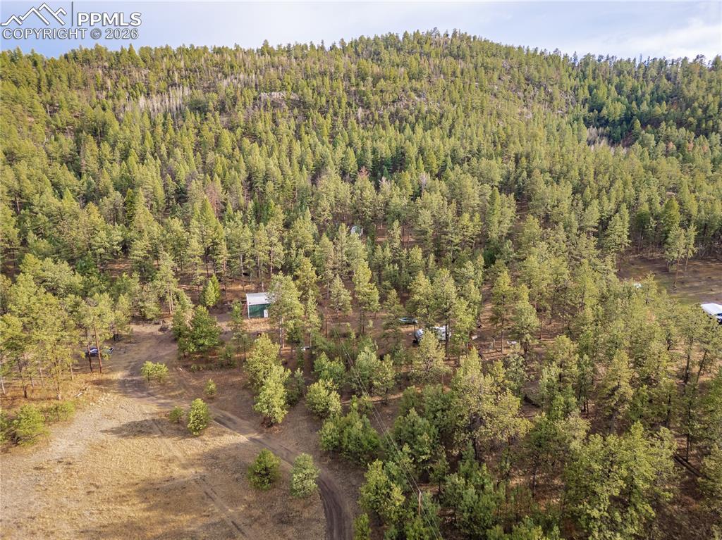842 County Road 112 Florissant CO 80816