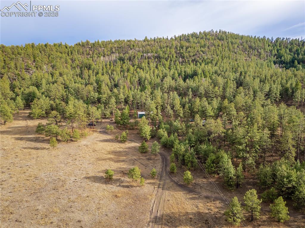 842 County Road 112 Florissant CO 80816