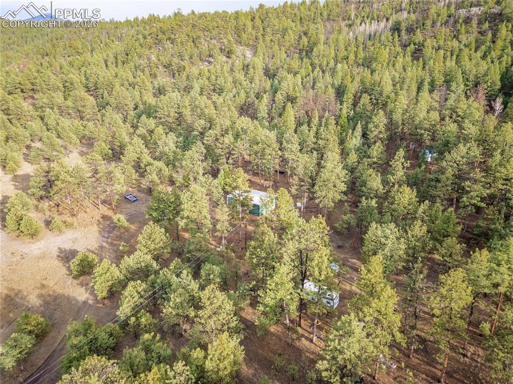 842 County Road 112 Florissant CO 80816