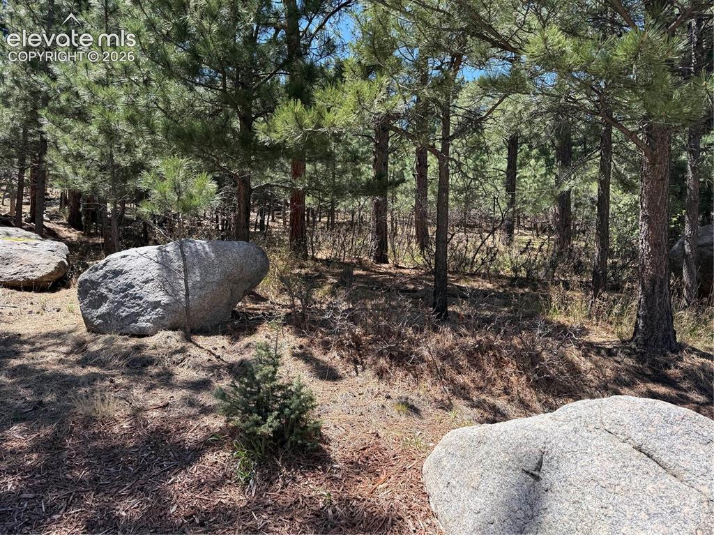 5630 Jarman Street Colorado Springs CO 80906