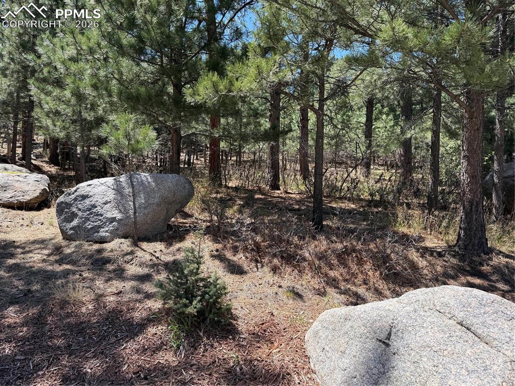 5630 Jarman Street Colorado Springs CO 80906