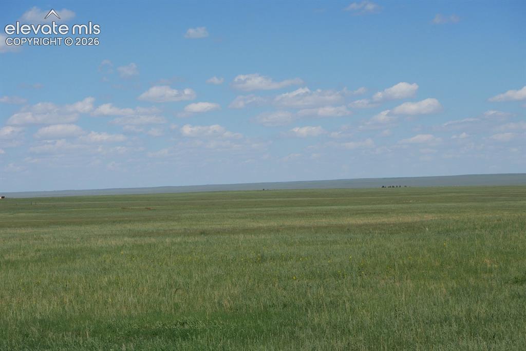 # Blasingame Road Ramah CO 80832