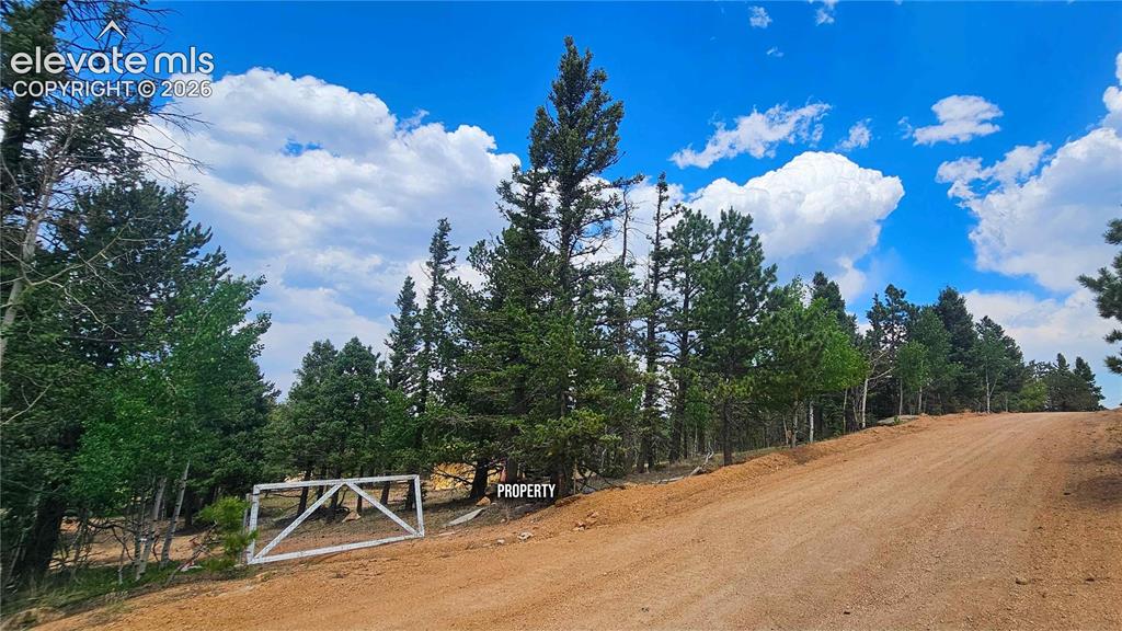 19 Aster Road Woodland Park CO 80863