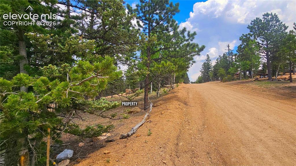 19 Aster Road Woodland Park CO 80863
