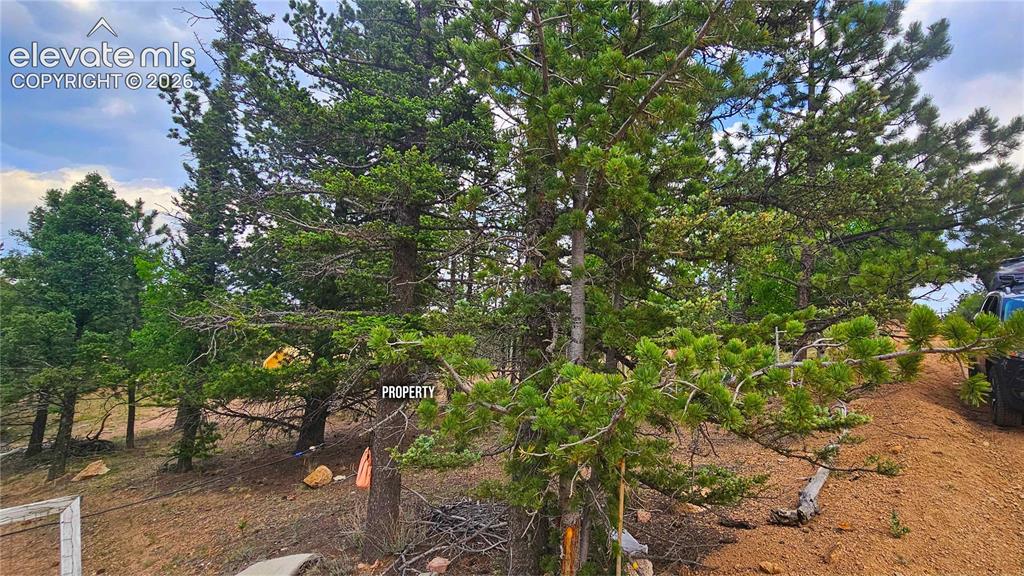 19 Aster Road Woodland Park CO 80863