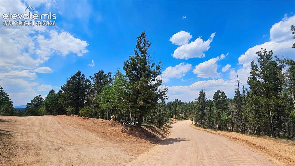 19 Aster Road Woodland Park CO 80863