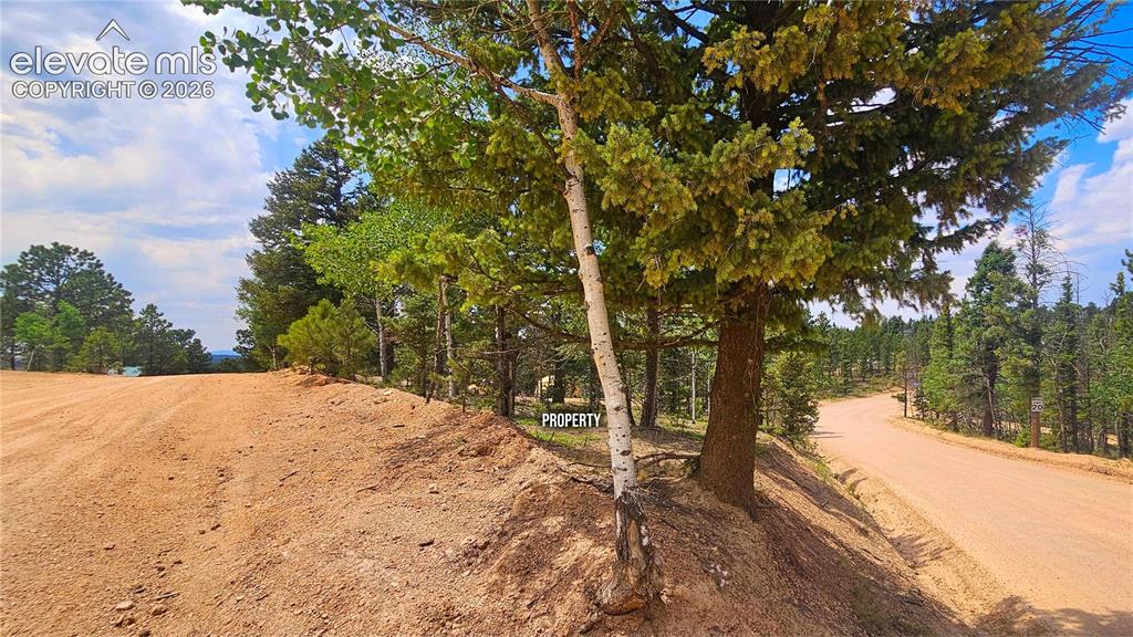 19 Aster Road Woodland Park CO 80863
