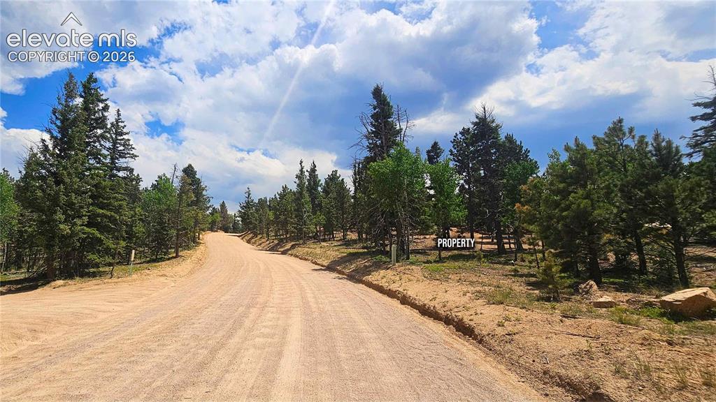 19 Aster Road Woodland Park CO 80863
