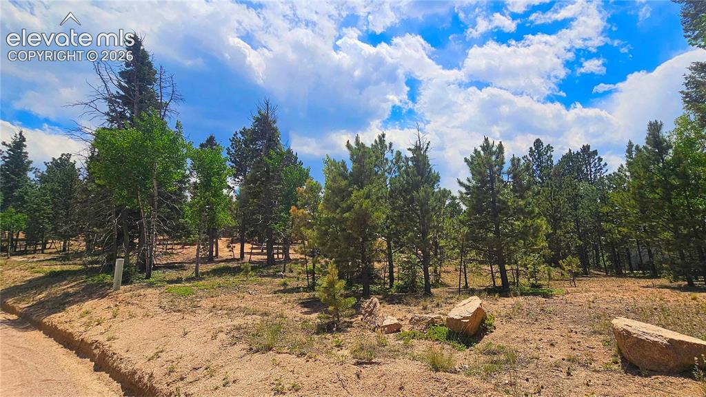19 Aster Road Woodland Park CO 80863